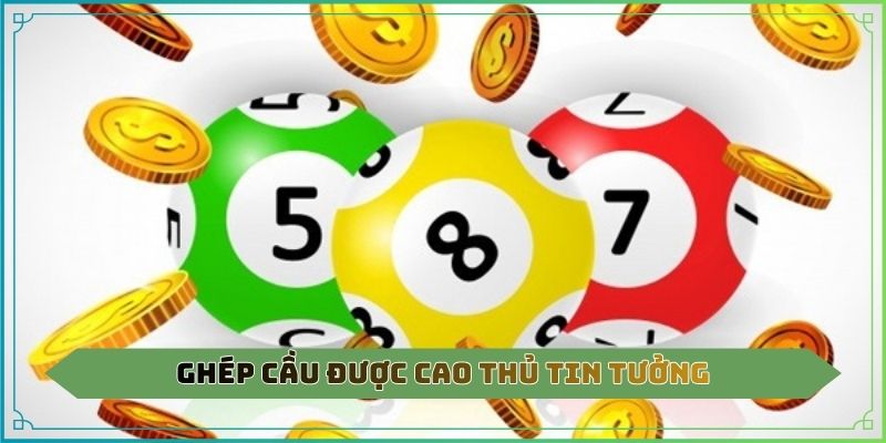 Ghép cầu được cao thủ tin tưởng