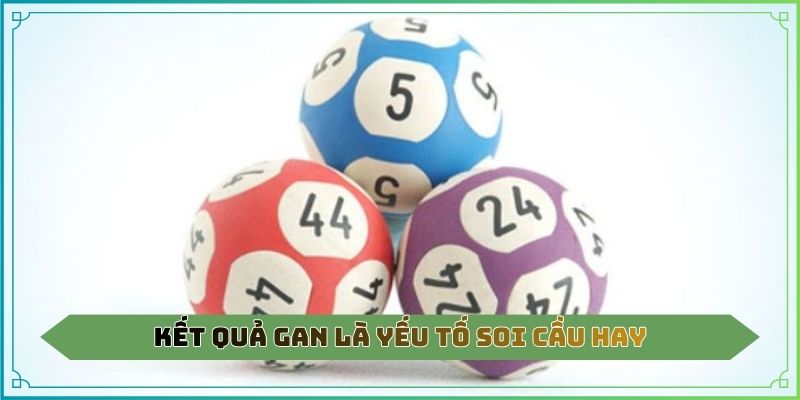 Kết quả gan là yếu tố soi cầu hay